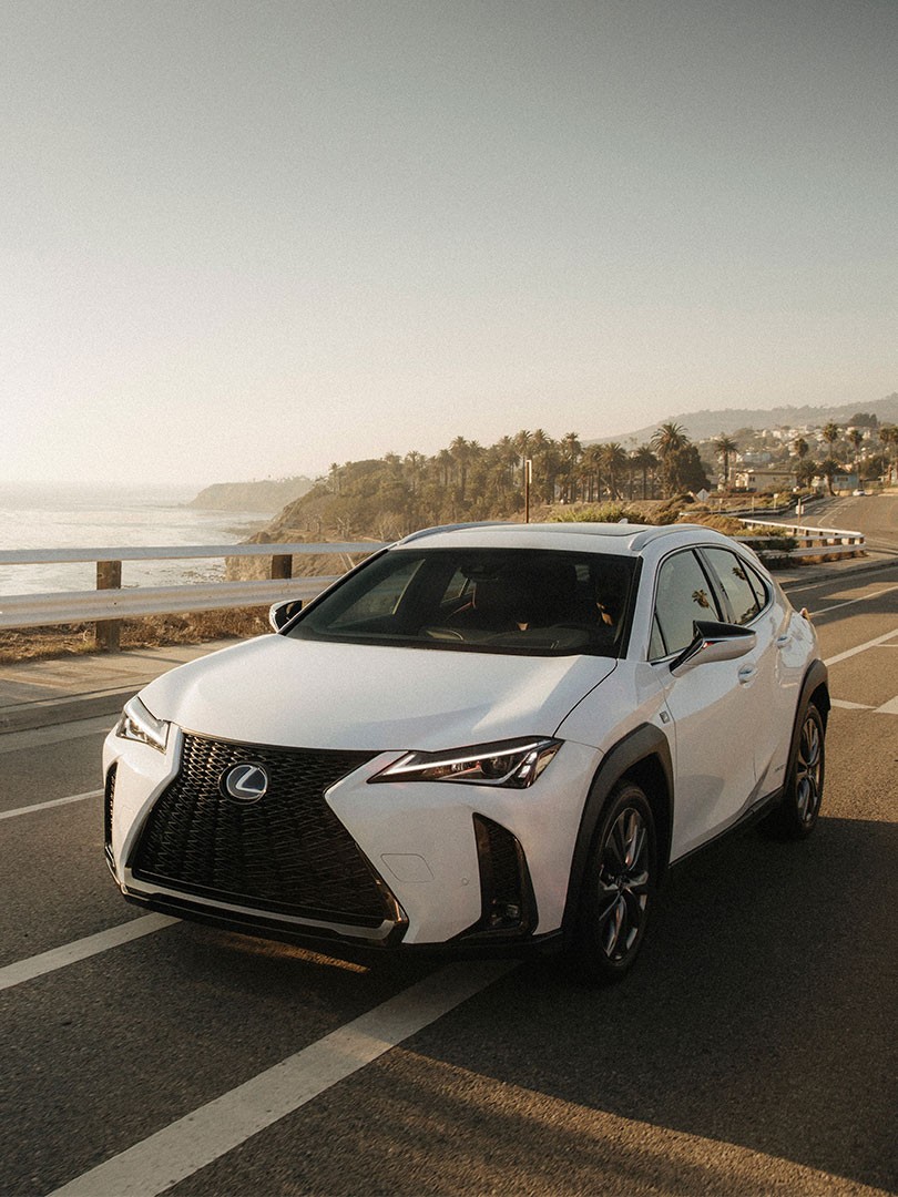 Lexus UX 250h driving on a road