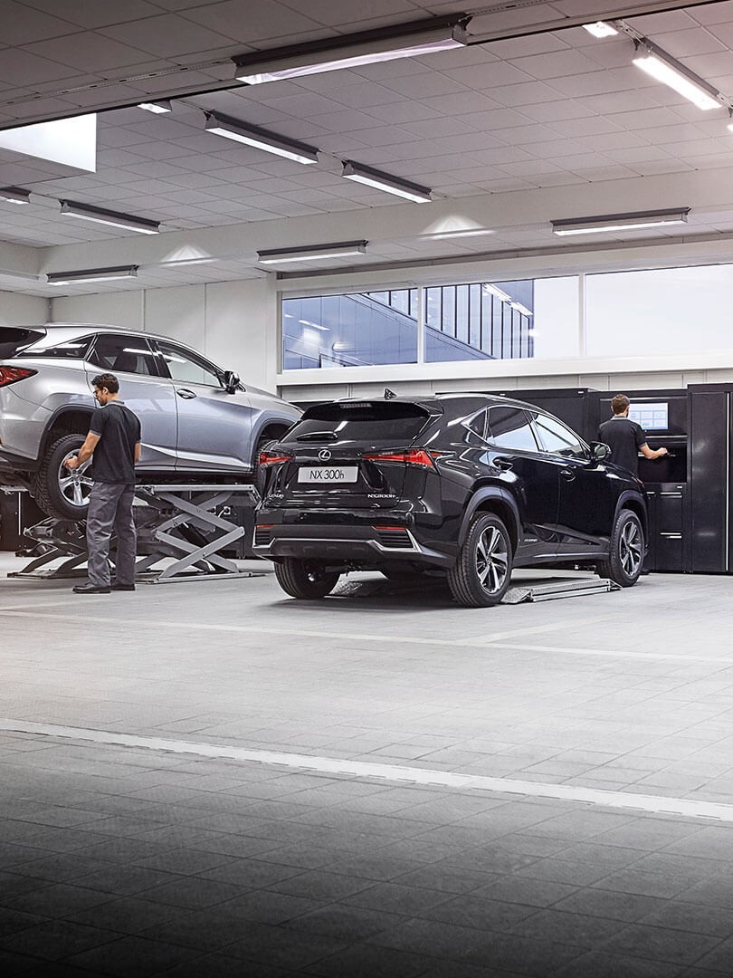 people working in a Lexus garage