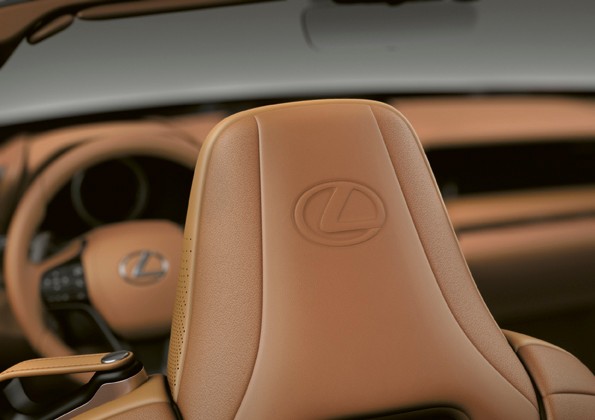 A headrest inside an LC CV