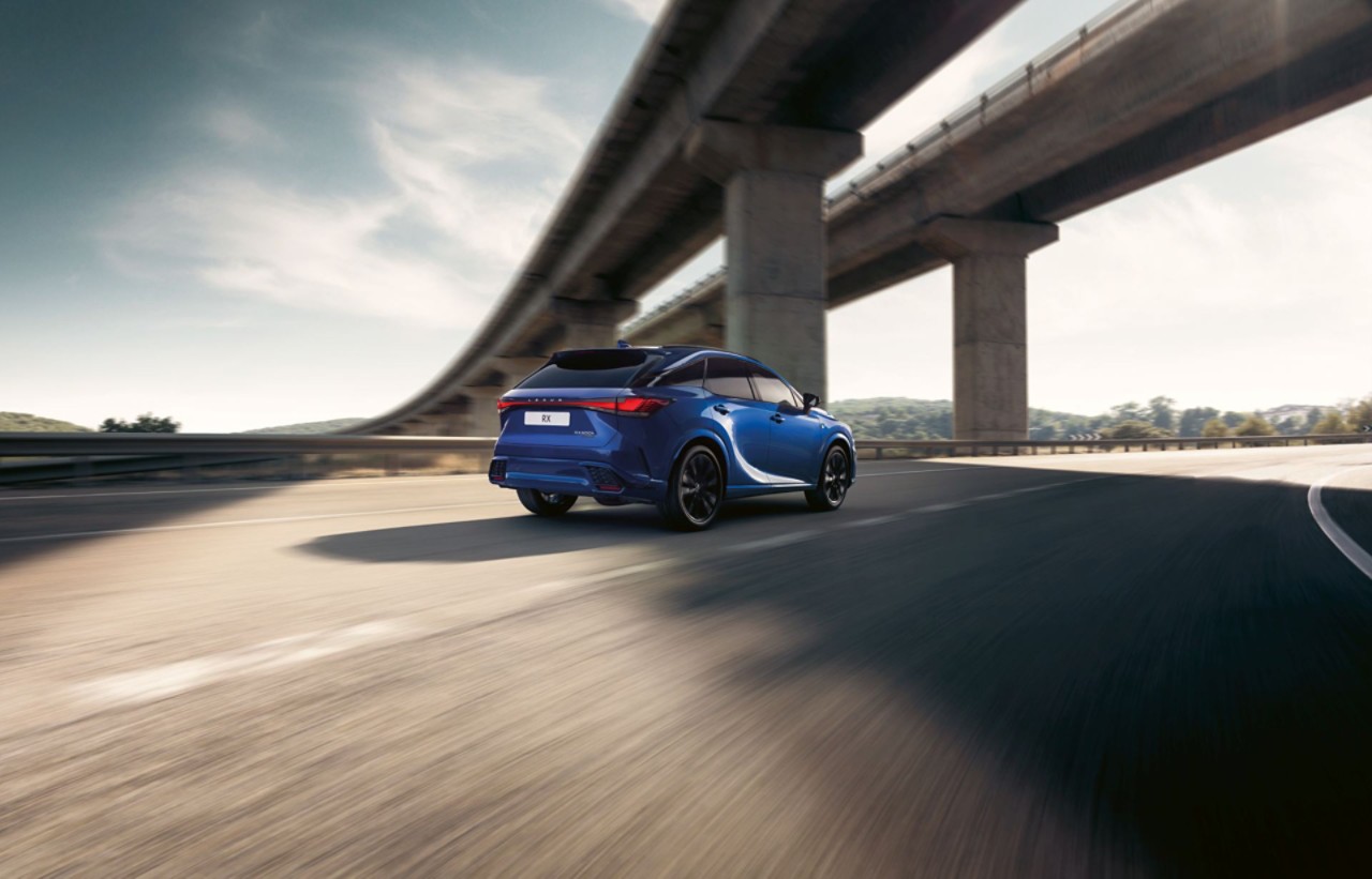 希少】 LEXUS PREMIUM FORGED 4〜9.P 三浦技研 軟鉄 RX | Plug-in Hybrid