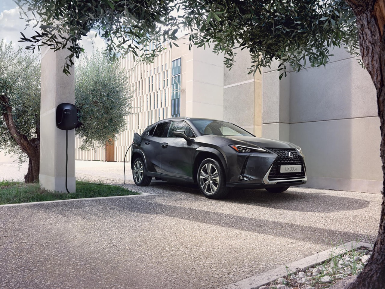 person pressing a button inside their Lexus UX 300e