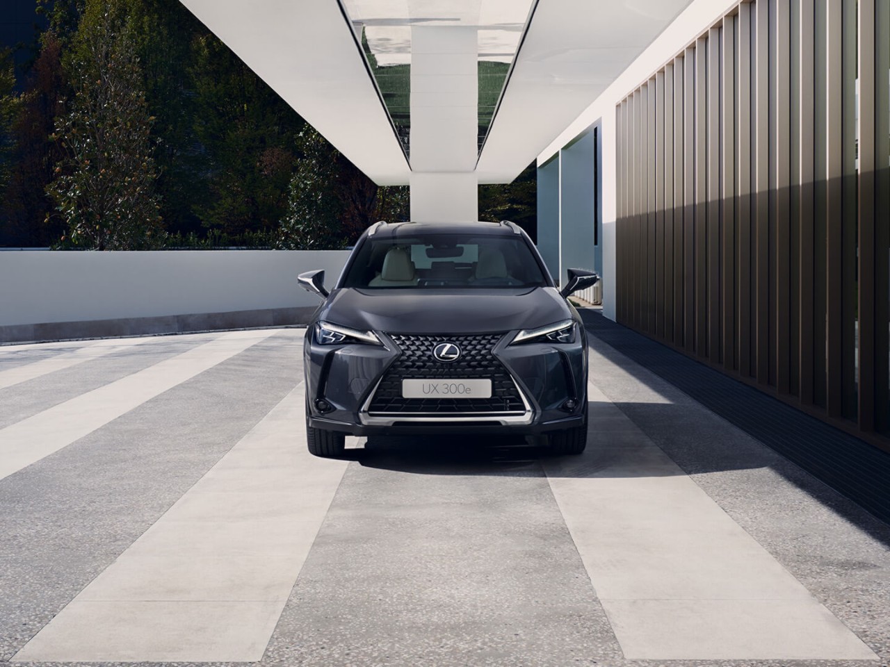 Lexus UX 300e driving outside on a road