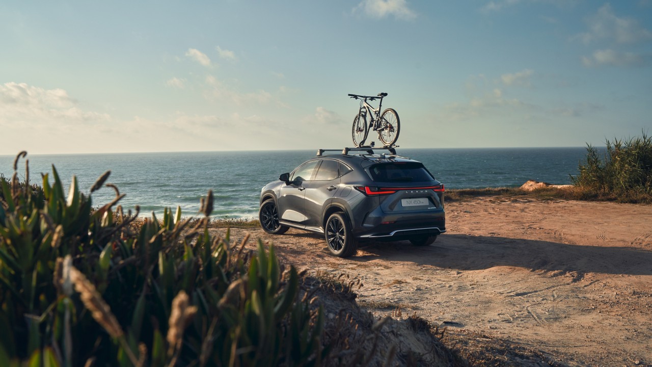 Lexus NX parked at a beach with a bike on top