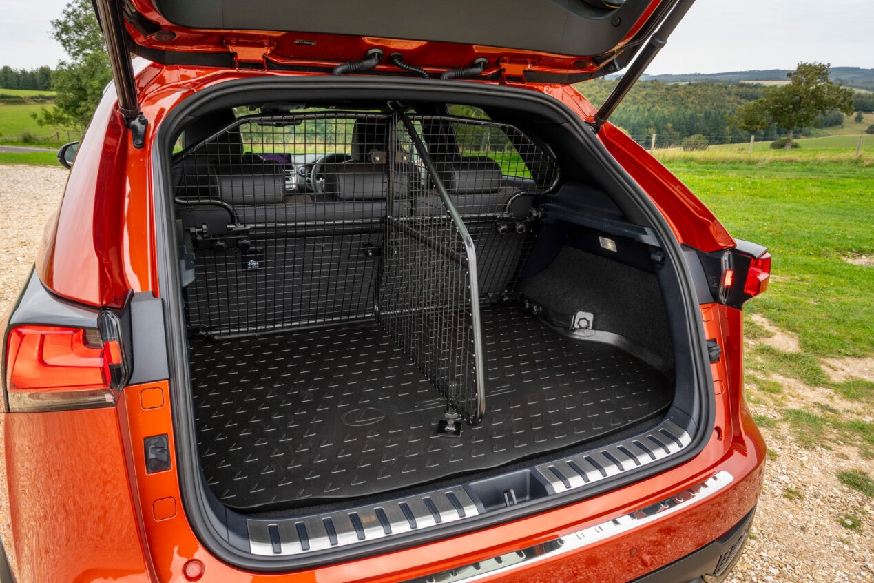 Lexus NX trunk liner accessory